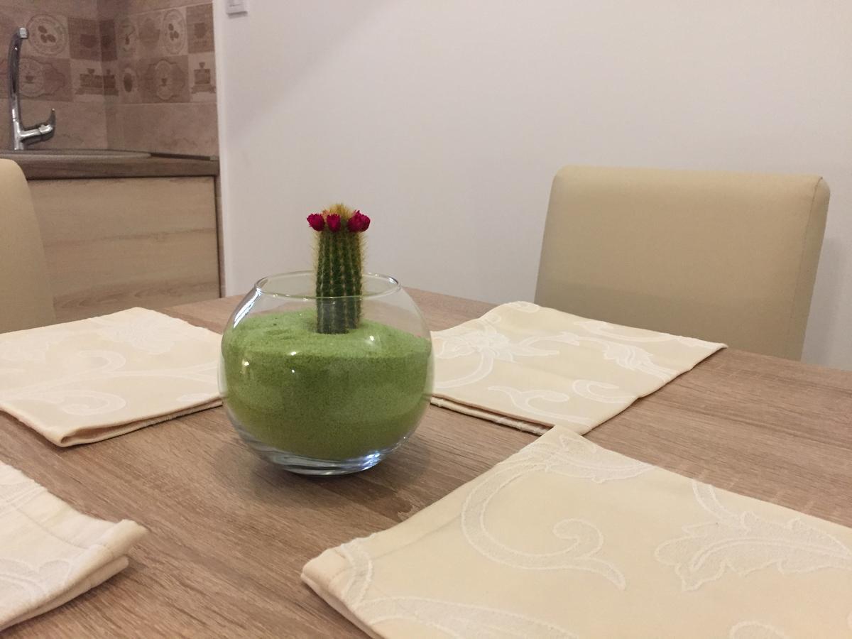 Apartment Radimiri Kotor Zewnętrze zdjęcie